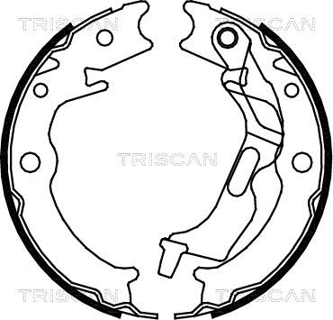 Triscan 8100 21001 - Комплект гальм, барабанний механізм autocars.com.ua