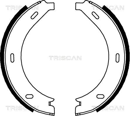 Triscan 8100 23023 - Комплект гальм, ручник, парковка autocars.com.ua