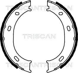 Triscan 8100 23024 - Комплект гальм, ручник, парковка autocars.com.ua
