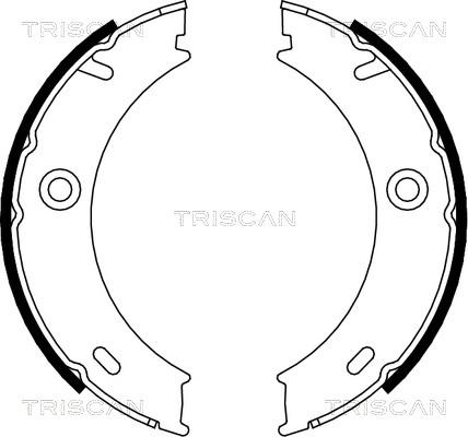 Triscan 8100 23025 - Комплект гальм, ручник, парковка autocars.com.ua