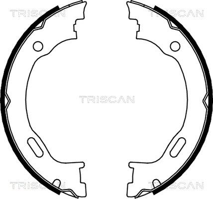 Triscan 8100 23028 - Комплект гальм, ручник, парковка autocars.com.ua