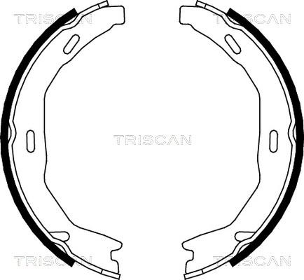 Triscan 8100 23029 - Комплект гальм, ручник, парковка autocars.com.ua