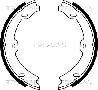 Triscan 8100 23031 - Комплект гальм, ручник, парковка autocars.com.ua