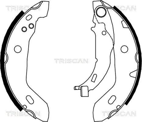 Triscan 8100 23122 - Комплект тормозных колодок, барабанные autodnr.net