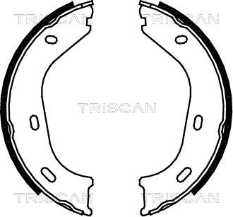 Triscan 8100 23217 - Комплект гальм, ручник, парковка autocars.com.ua