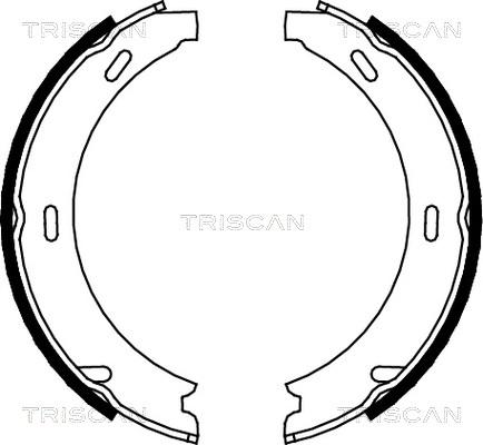Triscan 8100 23412 - Комплект тормозных колодок, барабанные avtokuzovplus.com.ua