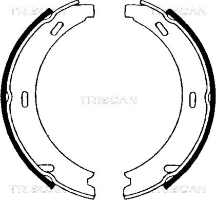 Triscan 8100 23552 - Комплект гальм, ручник, парковка autocars.com.ua