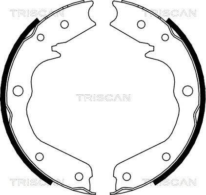 Triscan 8100 24002 - Комплект гальм, ручник, парковка autocars.com.ua