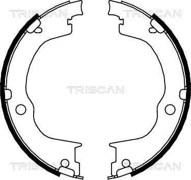 Triscan 8100 24003 - Комплект тормозов, ручник, парковка avtokuzovplus.com.ua
