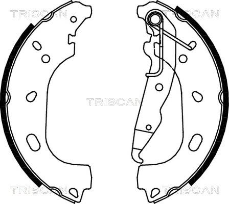 Triscan 8100 24004 - Комплект гальм, барабанний механізм autocars.com.ua