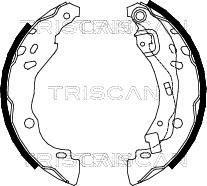 Triscan 8100 25001 - Комплект тормозных колодок, барабанные avtokuzovplus.com.ua