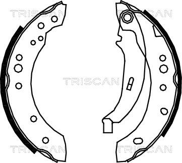 Triscan 8100 25005 - Комплект тормозных колодок, барабанные autodnr.net