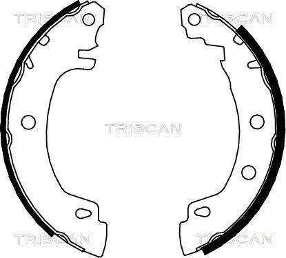 Triscan 8100 25581 - Комплект тормозных колодок, барабанные avtokuzovplus.com.ua