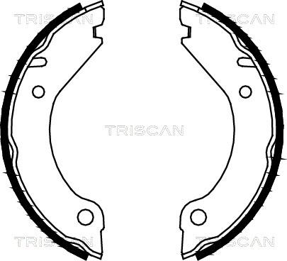 Triscan 8100 27277 - Комплект гальм, ручник, парковка autocars.com.ua