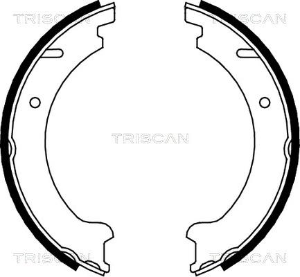 Triscan 8100 27506 - Комплект гальм, ручник, парковка autocars.com.ua