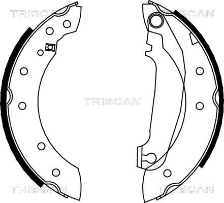 Triscan 8100 27516 - Комплект гальм, барабанний механізм autocars.com.ua