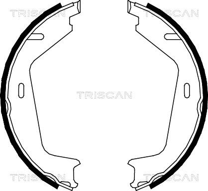 Triscan 8100 27578 - Комплект тормозов, ручник, парковка autodnr.net