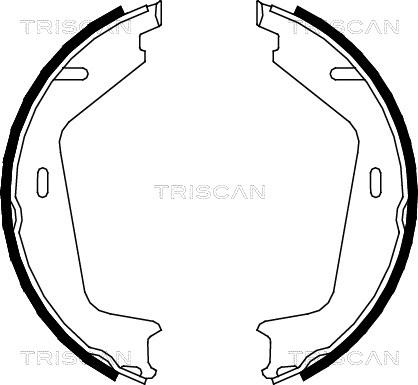 Triscan 8100 27578 - Комплект гальм, ручник, парковка autocars.com.ua