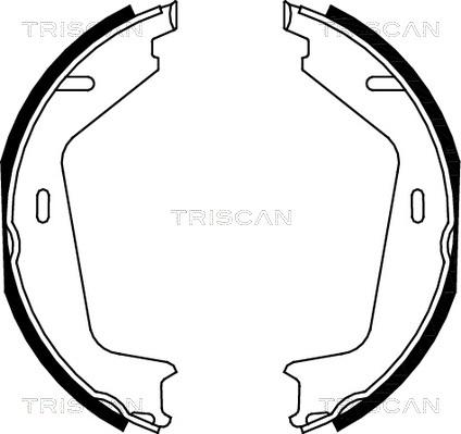 Triscan 8100 27579 - Комплект тормозов, ручник, парковка autodnr.net