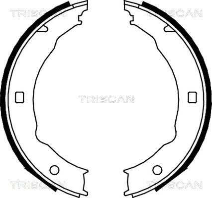 Triscan 8100 28050 - Комплект гальм, ручник, парковка autocars.com.ua
