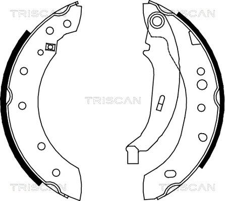 Triscan 8100 28052 - Комплект гальм, барабанний механізм autocars.com.ua