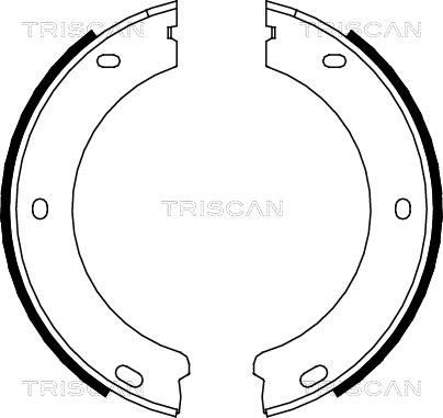Triscan 8100 28522 - Комплект гальм, ручник, парковка autocars.com.ua