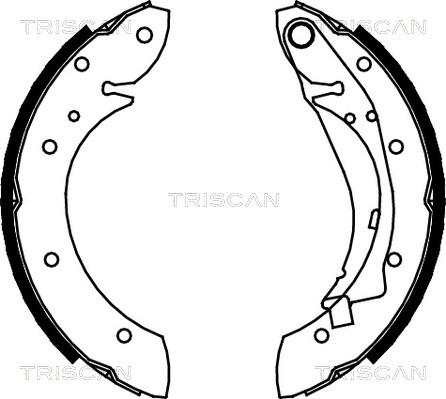 Triscan 8100 28598 - Комплект гальм, барабанний механізм autocars.com.ua