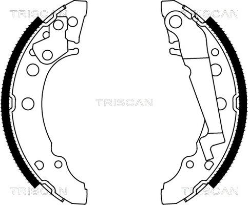 Triscan 8100 29001 - Комплект тормозных колодок, барабанные autodnr.net