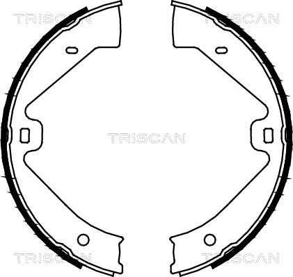 Triscan 8100 29002 - Комплект тормозов, ручник, парковка avtokuzovplus.com.ua