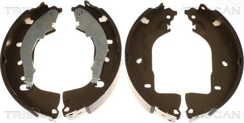 Triscan 810029007 - Комплект гальм, барабанний механізм autocars.com.ua