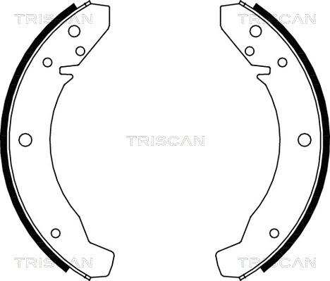 Triscan 8100 29104 - Комплект тормозных колодок, барабанные avtokuzovplus.com.ua