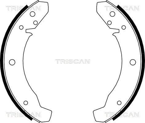 Triscan 8100 29105 - Комплект тормозных колодок, барабанные avtokuzovplus.com.ua