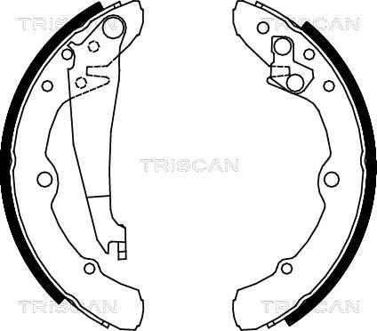 Triscan 8100 29343 - Комплект гальм, барабанний механізм autocars.com.ua