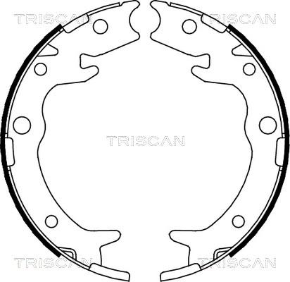 Triscan 8100 40005 - Комплект гальм, ручник, парковка autocars.com.ua