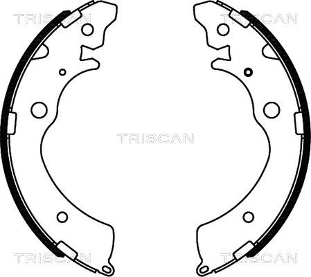 Triscan 8100 40508 - Комплект гальм, барабанний механізм autocars.com.ua