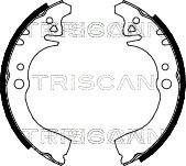Triscan 8100 41497 - Комплект тормозных колодок, барабанные autodnr.net