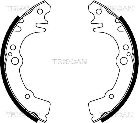 Triscan 8100 41616 - Комплект гальм, барабанний механізм autocars.com.ua