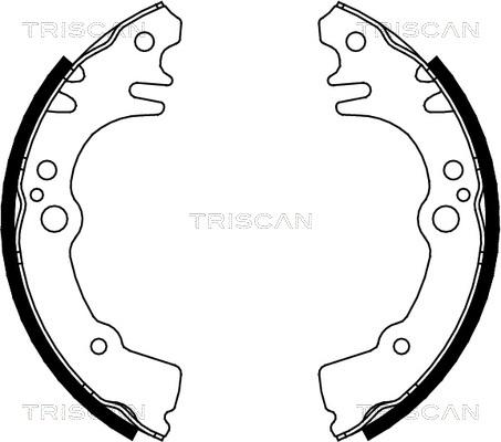 Triscan 8100 41616 - Комплект тормозных колодок, барабанные avtokuzovplus.com.ua