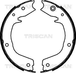 Triscan 8100 42019 - Комплект гальм, ручник, парковка autocars.com.ua