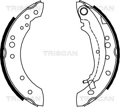 Triscan 8100 42020 - Комплект тормозных колодок, барабанные avtokuzovplus.com.ua