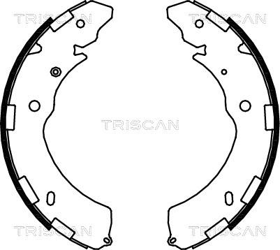 Triscan 8100 42021 - Комплект тормозных колодок, барабанные autodnr.net