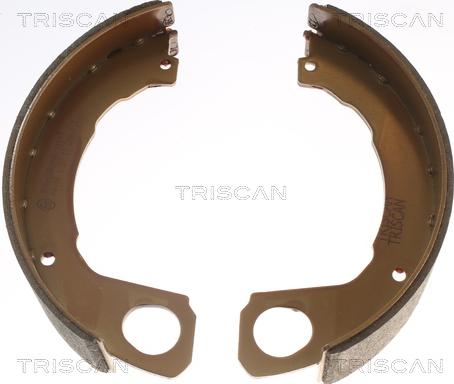 Triscan 8100 42022 - Комплект гальм, ручник, парковка autocars.com.ua