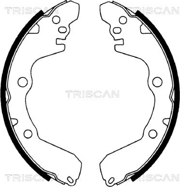 Triscan 8100 42566 - Комплект гальм, барабанний механізм autocars.com.ua