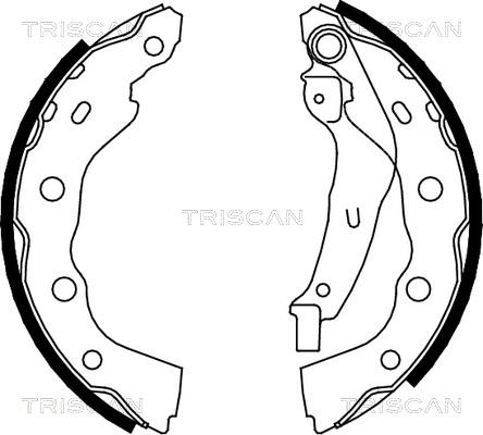 Triscan 8100 42628 - Комплект тормозных колодок, барабанные avtokuzovplus.com.ua