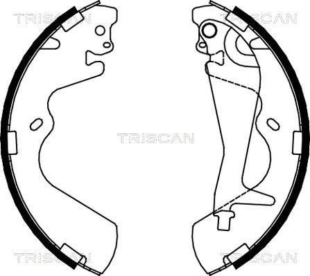 Triscan 8100 43010 - Комплект тормозных колодок, барабанные avtokuzovplus.com.ua