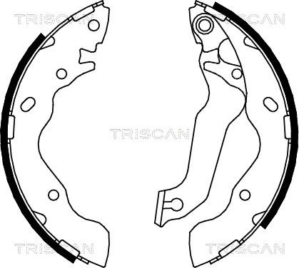Triscan 8100 43013 - Комплект тормозных колодок, барабанные autodnr.net