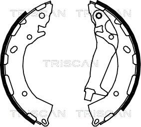Triscan 8100 43014 - Комплект тормозных колодок, барабанные autodnr.net