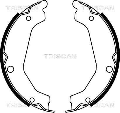 Triscan 8100 43019 - Комплект тормозных колодок, барабанные autodnr.net