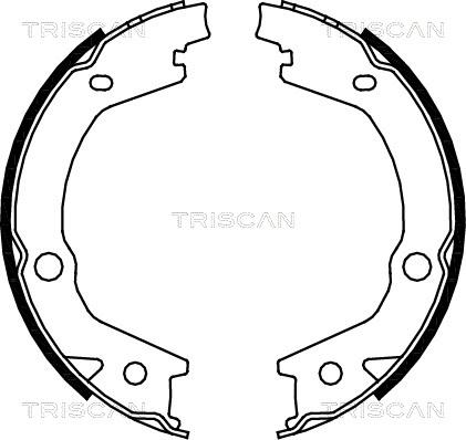 Triscan 8100 43020 - Комплект гальм, ручник, парковка autocars.com.ua