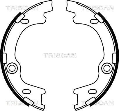 Triscan 8100 43021 - Комплект гальм, барабанний механізм autocars.com.ua